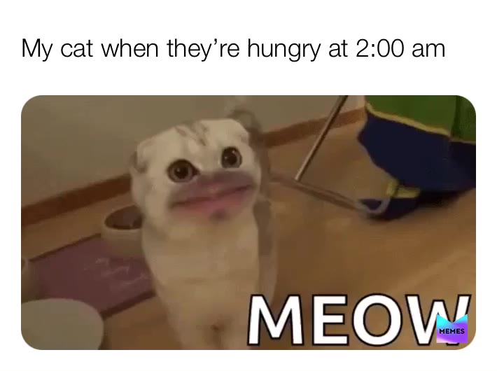 Meme shared by @nerdfest04