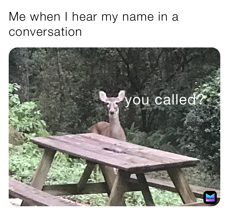 Me when I hear my name in a conversation 