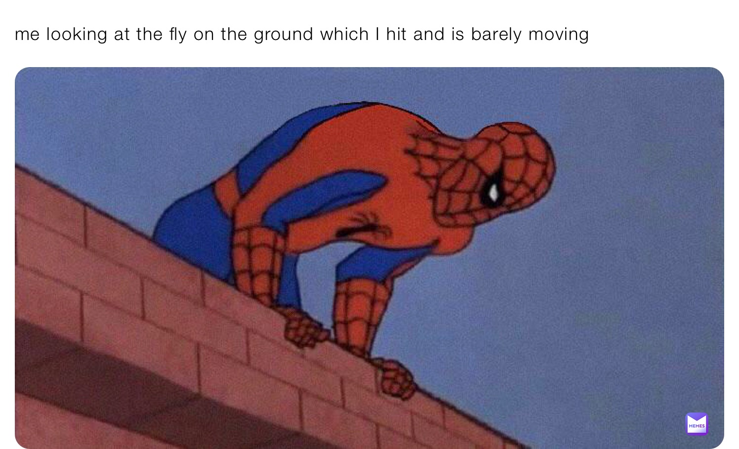 me looking at the fly on the ground which I hit and is barely moving