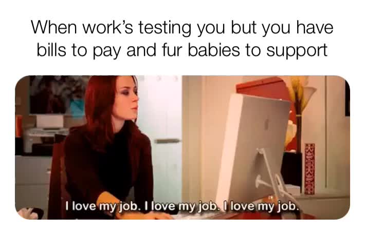 🐶🐱  #work  #furbabies  #ilovemyjob  #thedevilwearsprada  #meme #life