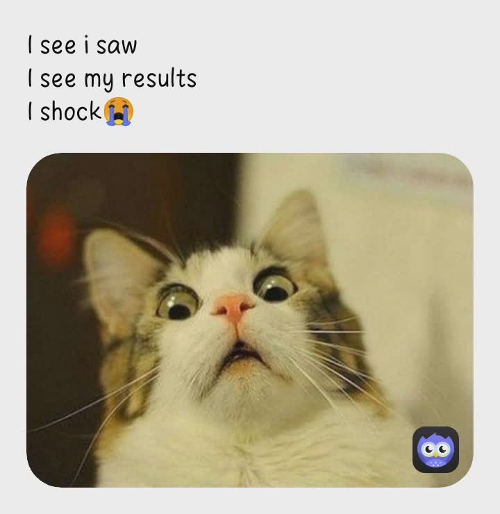 Meme by daddylongstrokes