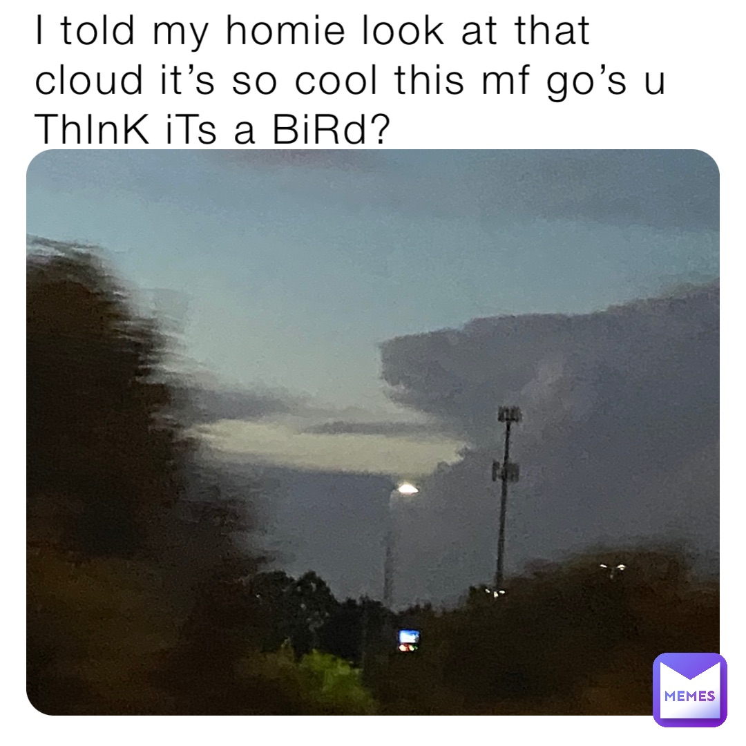 I told my homie look at that cloud it’s so cool this mf go’s u ThInK iTs a BiRd?