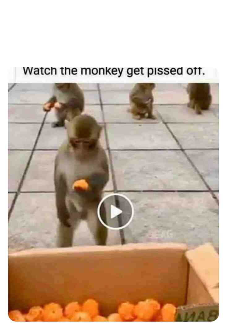 #fyp #trending #funnymemes