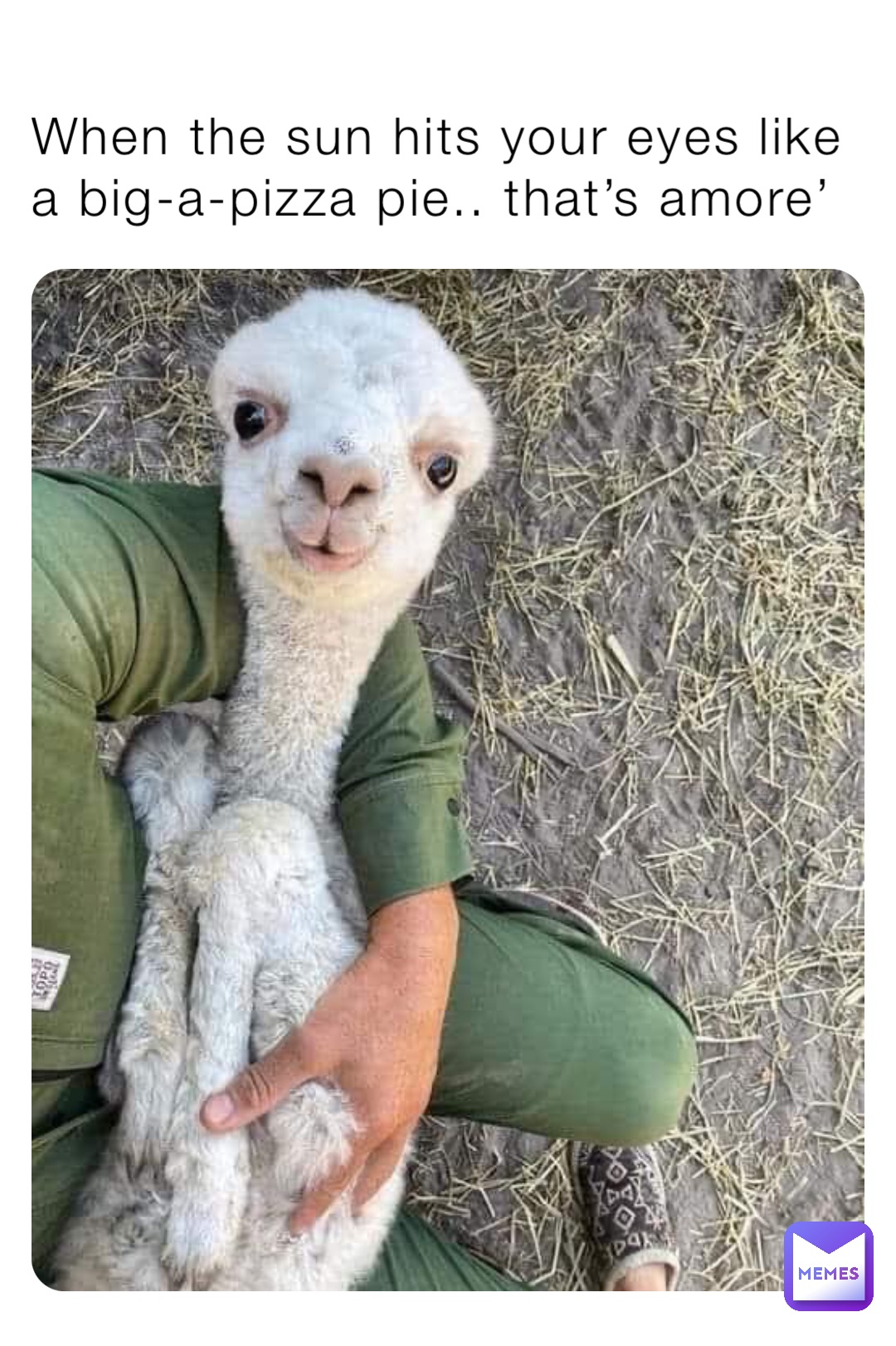 Meme by hardrocksecurity54