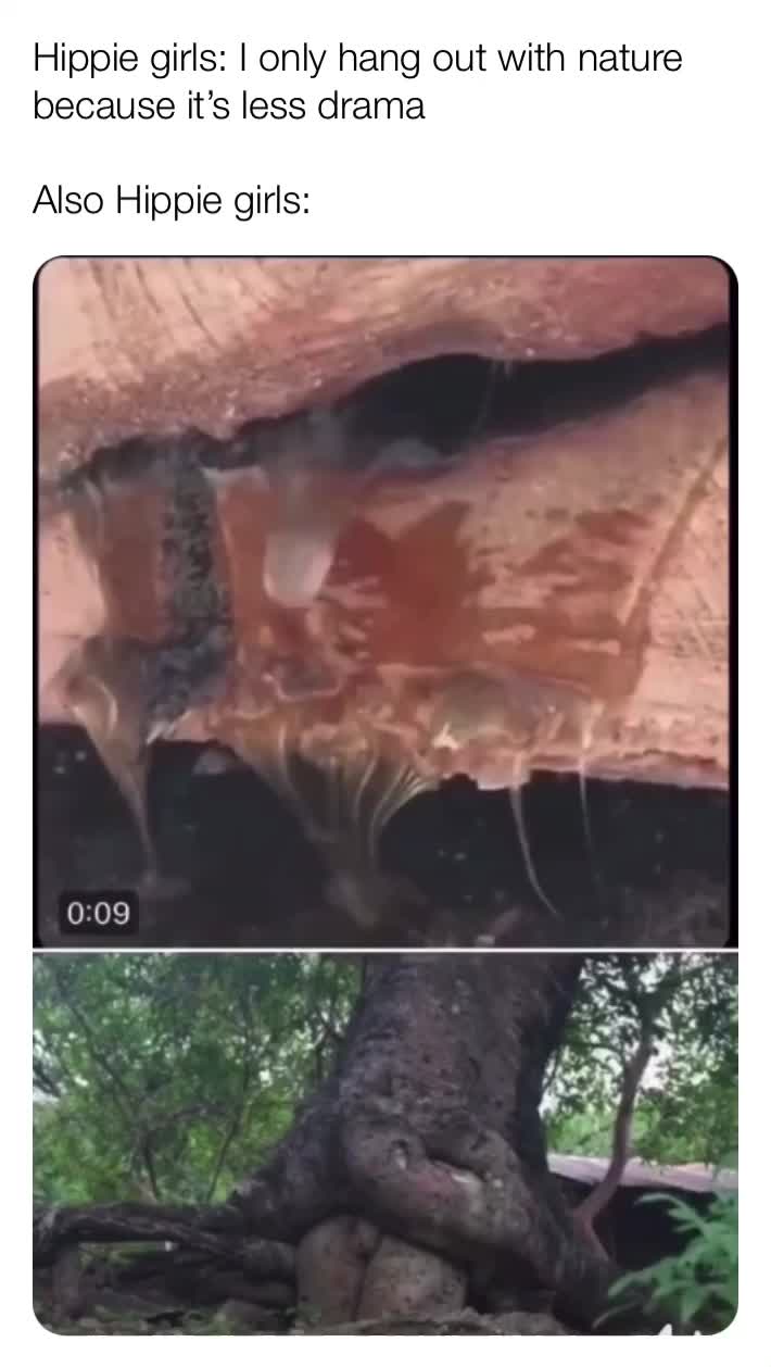 #trees  #nature  #netflixandchill  #syrup  #savage  #dankmemes  #hiking