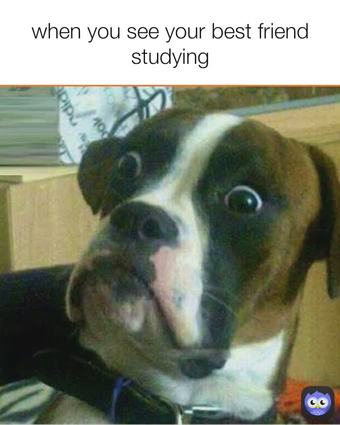 when you see your best friend studying