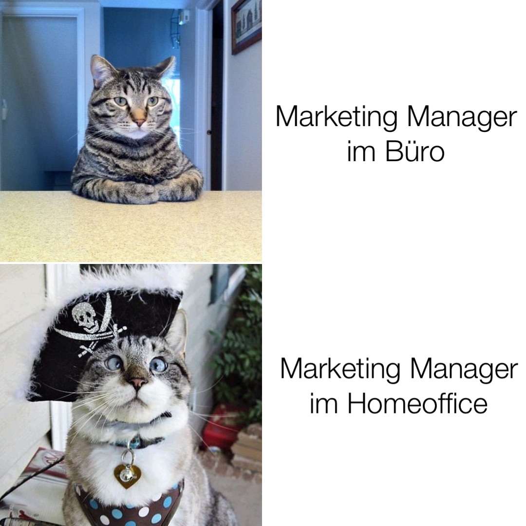 Marketing Manager 
im Büro Marketing Manager im Homeoffice