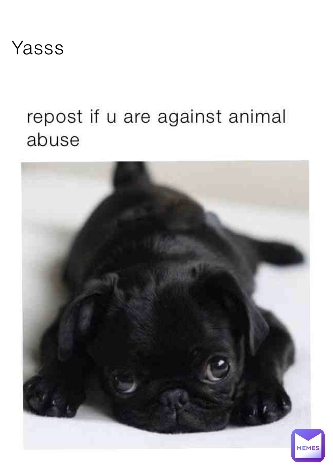 Yasss