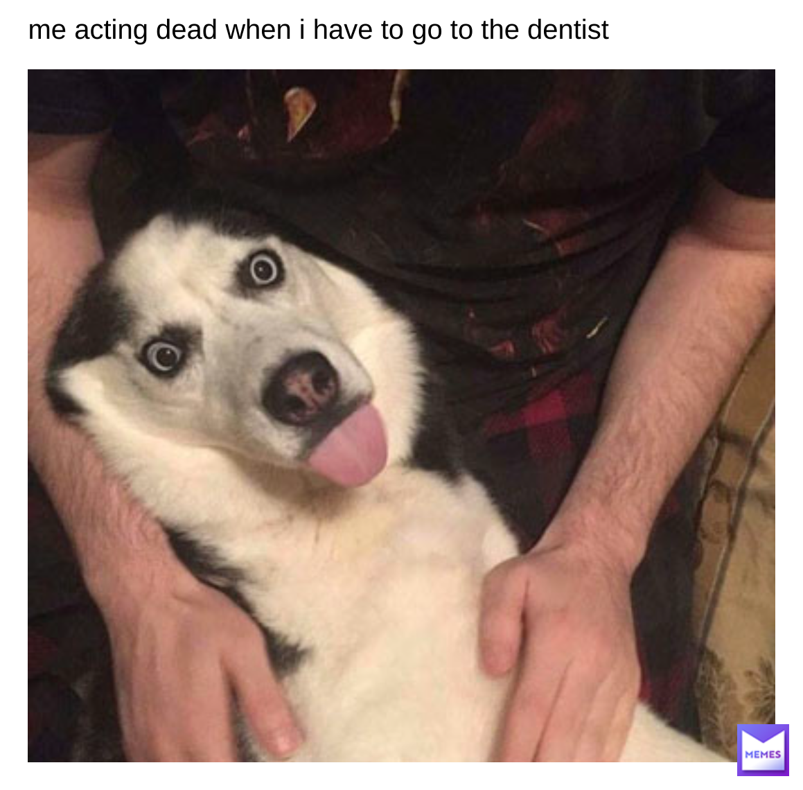 Meme by big_booty_men