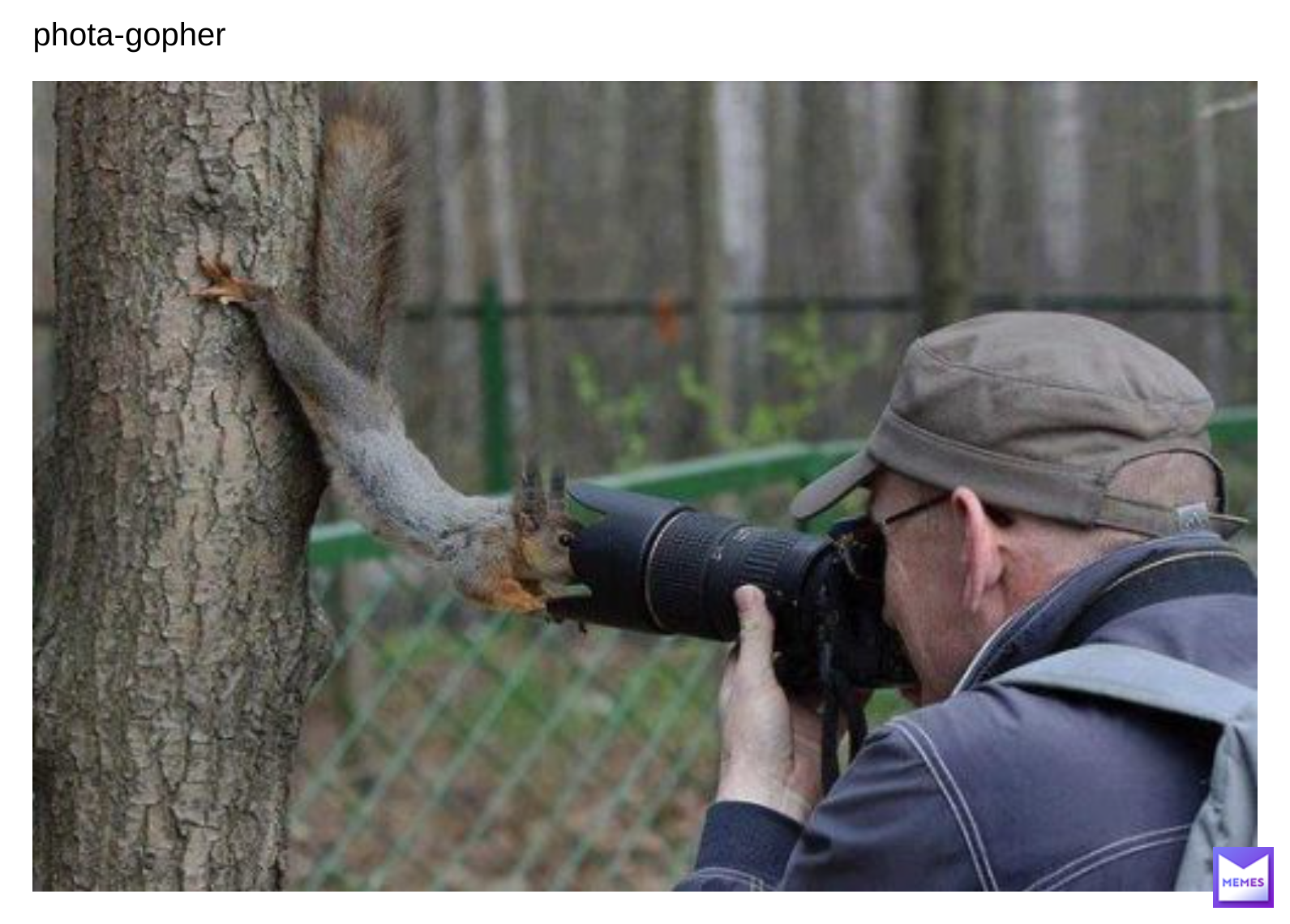 Meme by big_booty_men