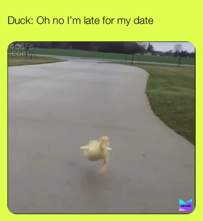 #lateagain  #datenight  #duck  #memes  #run