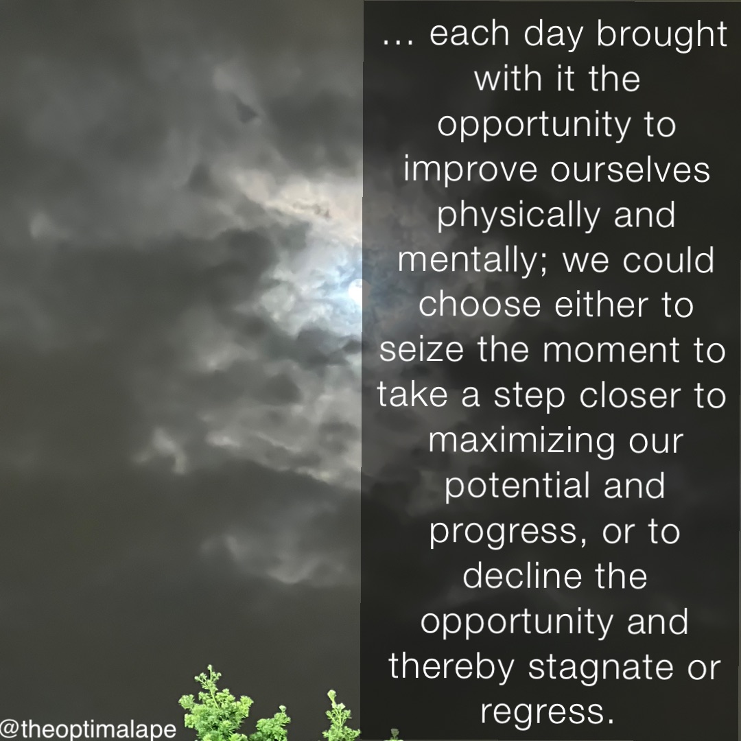 … each day brought with it the opportunity to improve ourselves physically and mentally; we could choose either to seize the moment to take a step closer to maximizing our potential and progress, or to decline the opportunity and thereby stagnate or regress.