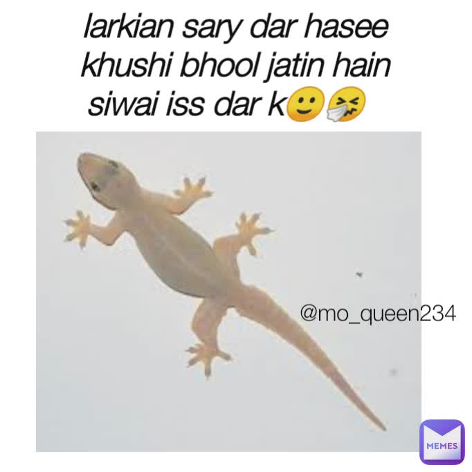 larkian sary dar hasee khushi bhool jatin hain siwai iss dar k🙂🤧 @mo_queen234 @mo_queen234 @mo_queen234