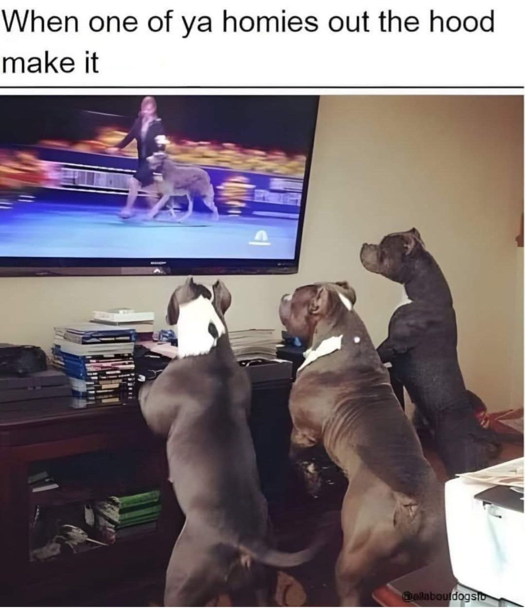 Double tap to edit