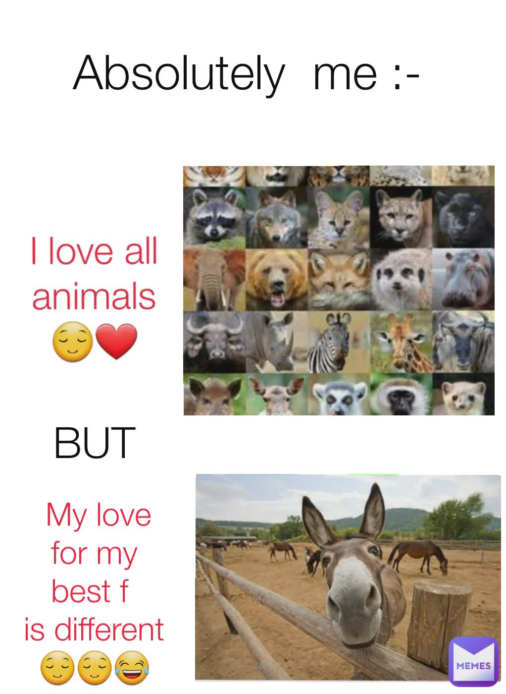 I love all animals
😌❤ Absolutely  me :-  My love for my best f 
is different😌😌😂 BUT