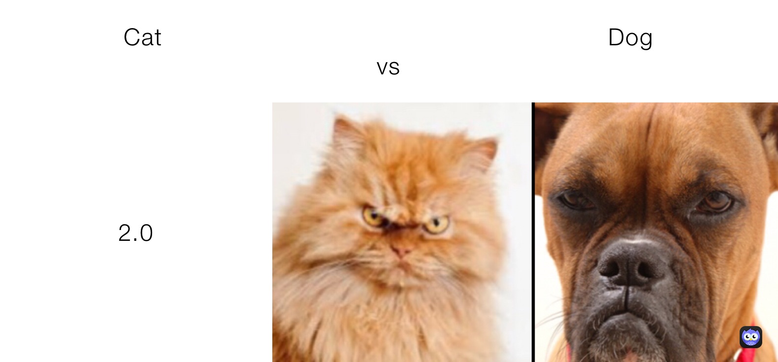 Cat                                                           Dog                                                   vs 2.0