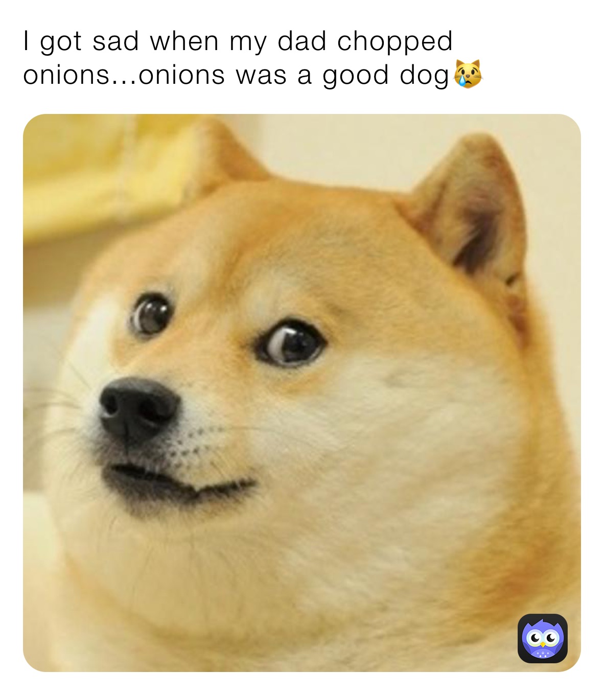 I got sad when my dad chopped onions...onions was a good dog😿