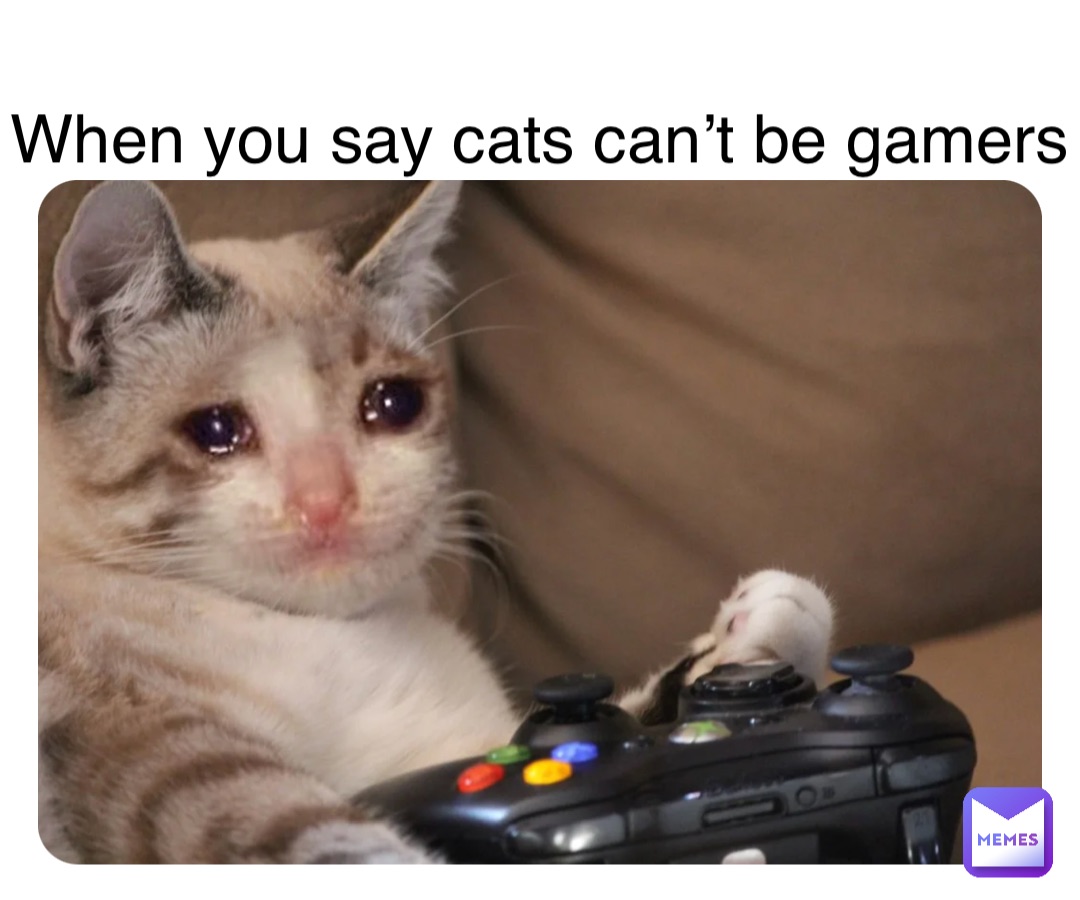 Double tap to edit When you say cats can’t be gamers