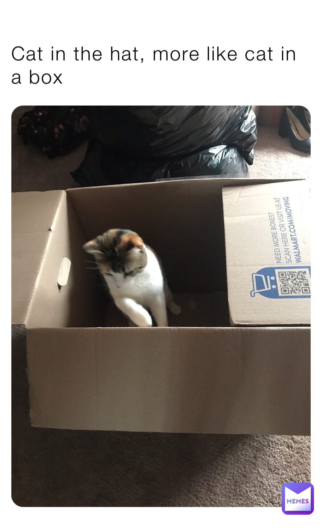 Cat in the hat, more like cat in a box