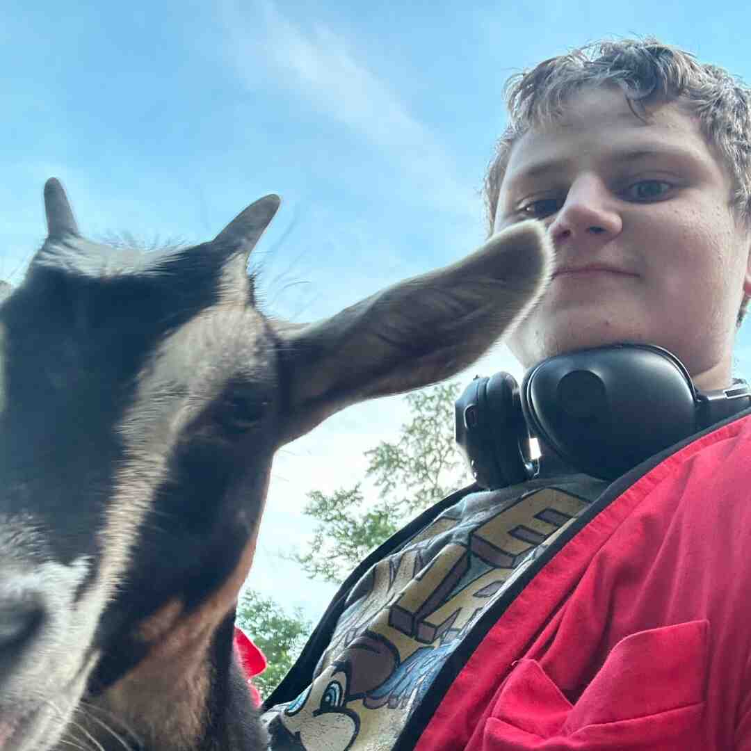 Just chillin with my goats also goodbye horror you were good maybe even the best