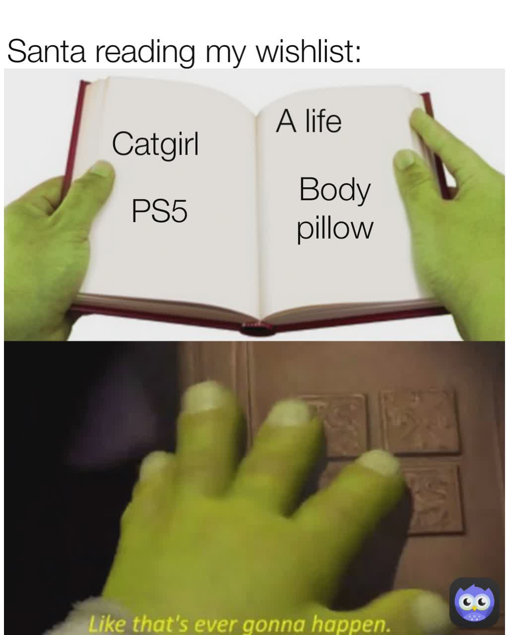 Santa reading my wishlist: A life Catgirl Body pillow PS5