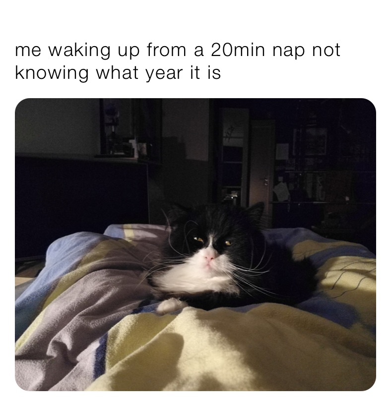 Me Waking Up From A 20min Nap Not Knowing What Year It Is Pumpfi Official Memes