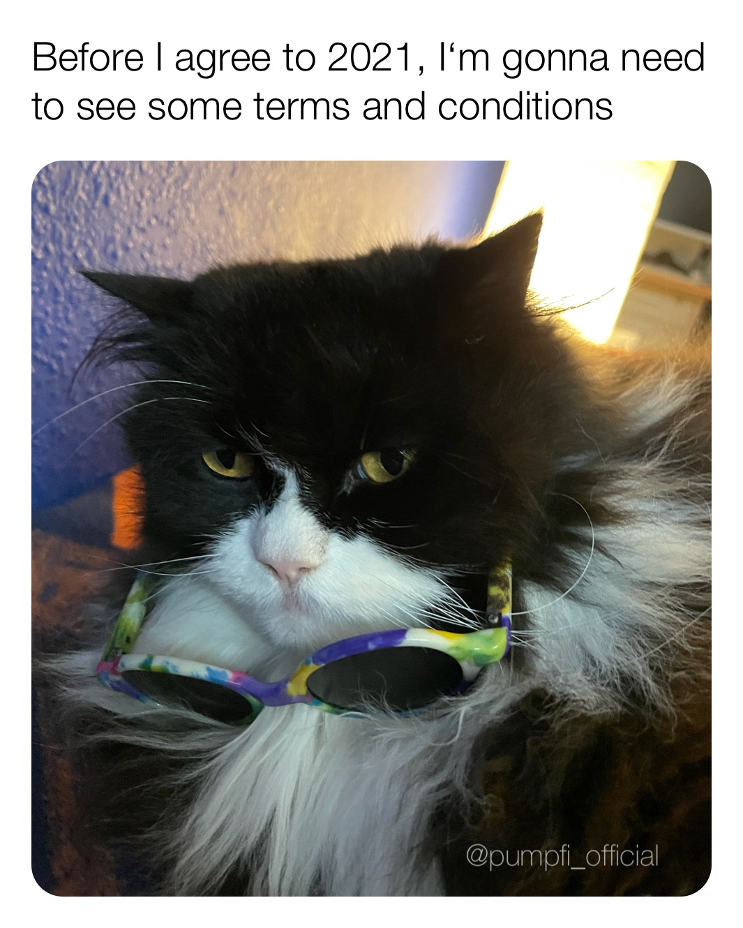 Before I agree to 2021, I‘m gonna need to see some terms and conditions 