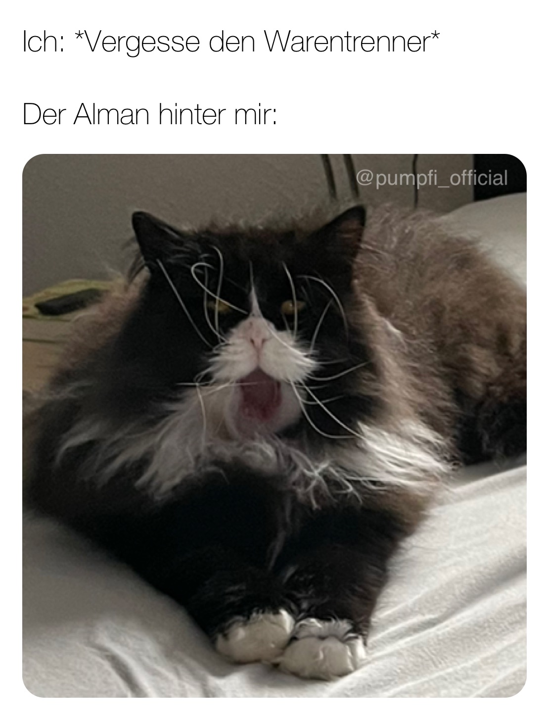 Ich: *Vergesse den Warentrenner*

Der Alman hinter mir: