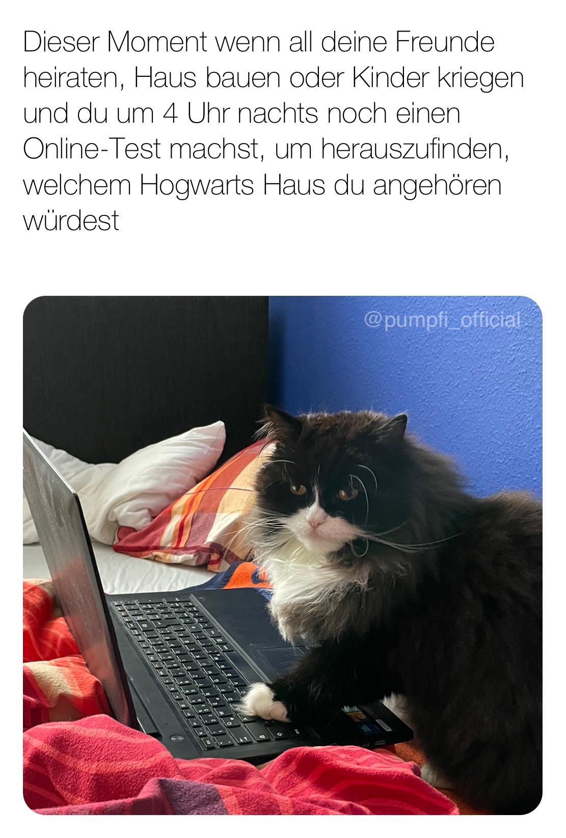 Dieser Moment wenn all deine Freunde heiraten, Haus bauen oder Kinder kriegen und du um 4 Uhr nachts noch einen Online-Test machst, um herauszufinden, welchem Hogwarts Haus du angehören würdest
