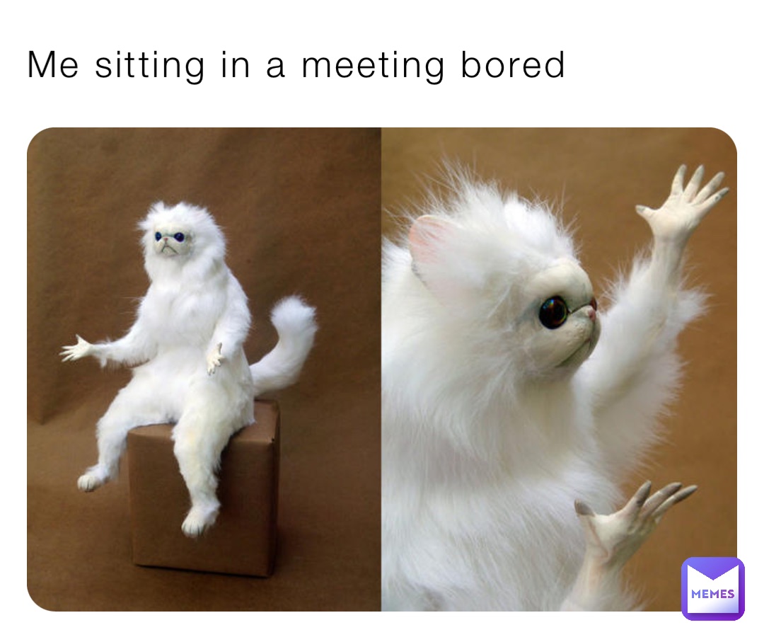 Me sitting in a meeting bored