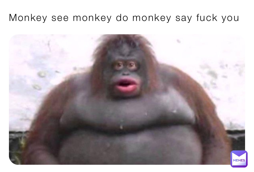 Monkey see monkey do monkey say fuck you