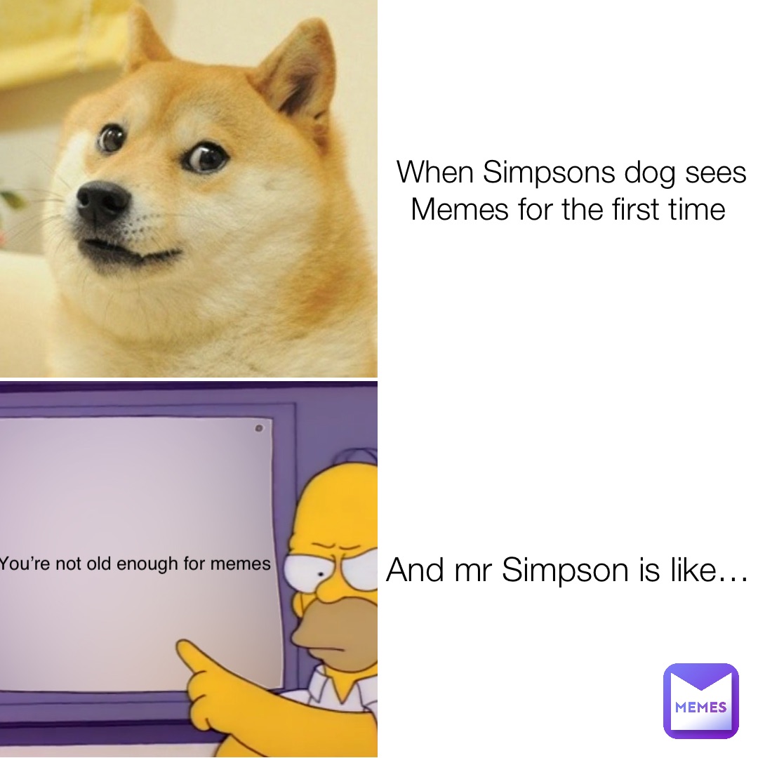 When Simpsons dog sees Memes for the first time And mr Simpson is like… You’re not old enough for memes