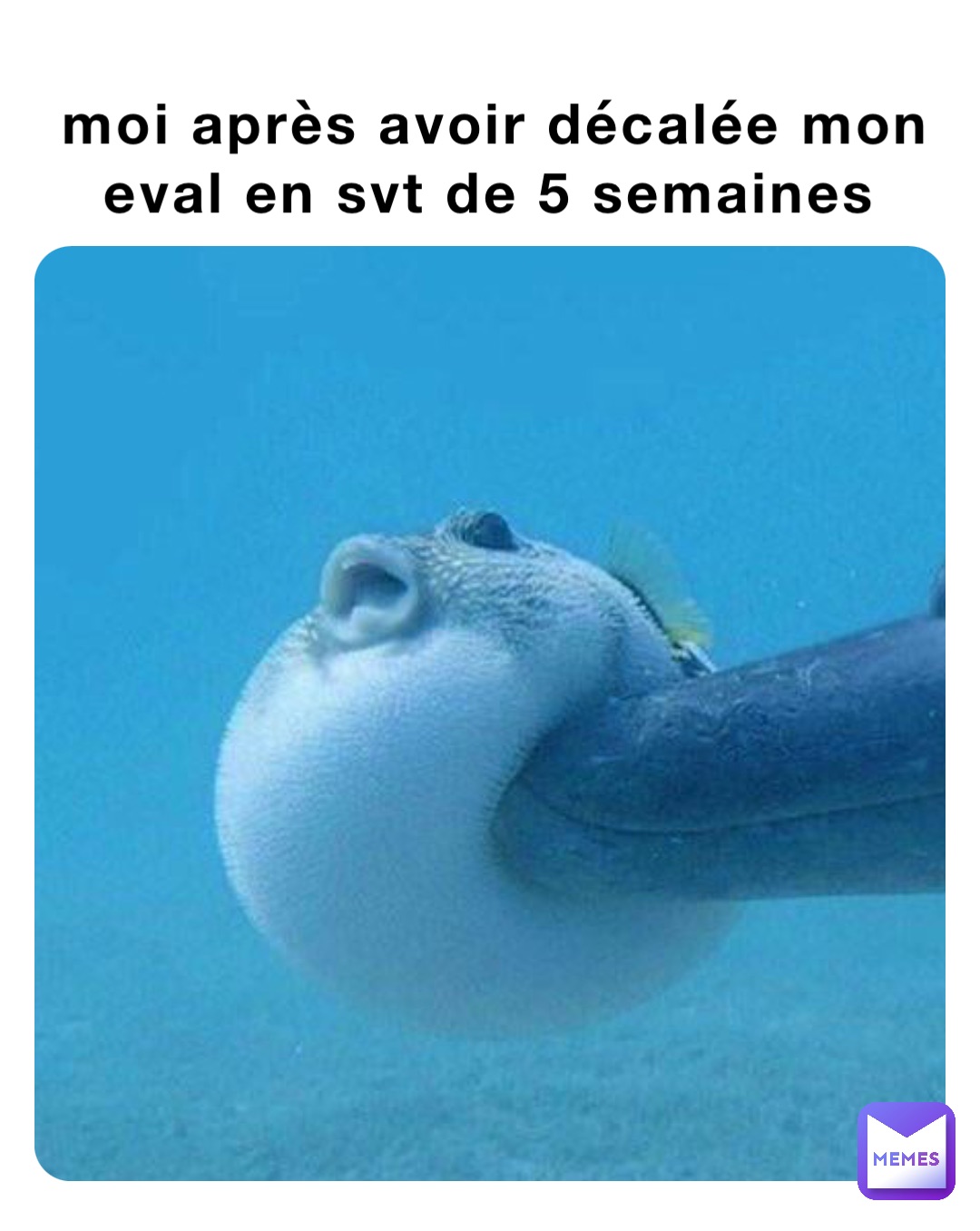 moi après avoir décalée mon eval en svt de 5 semaines