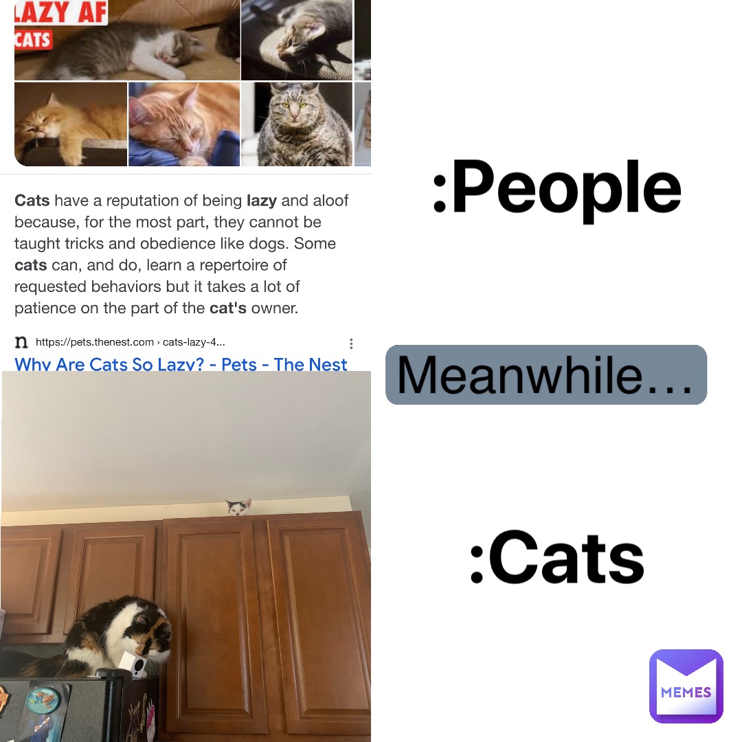 Meme by Aphroditefzx