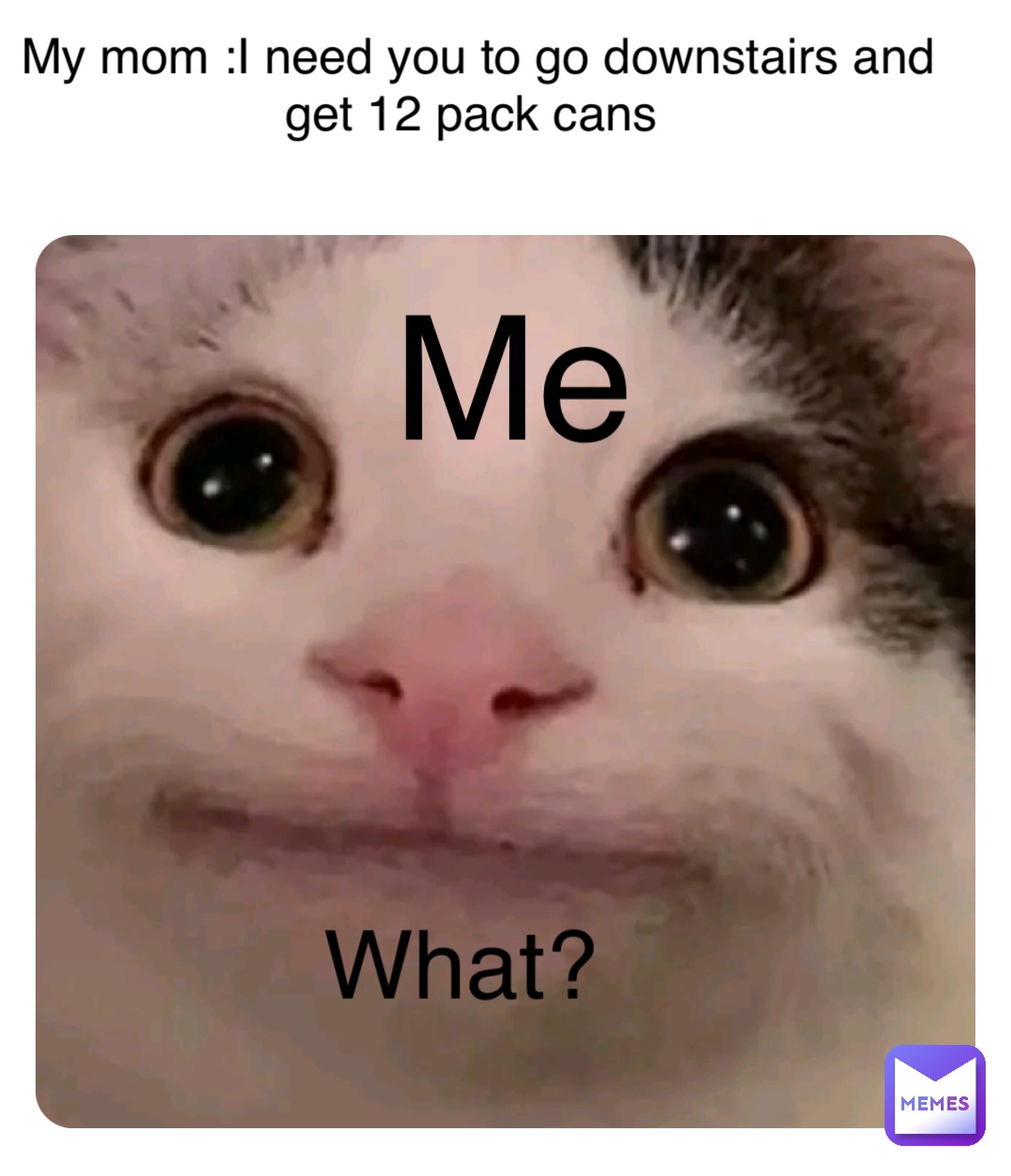 Me My mom :I need you to go downstairs and get 12 pack cans What?