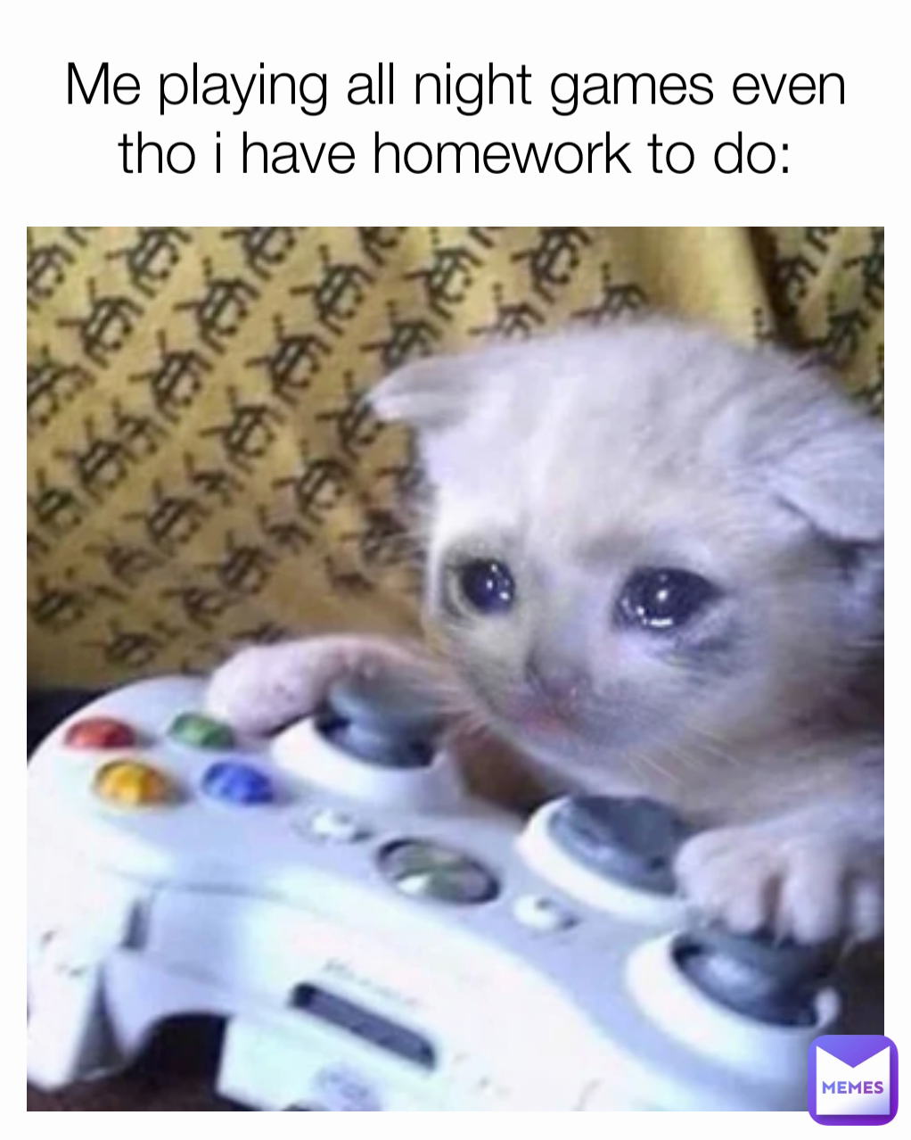 Me playing all night games even tho i have homework to do: