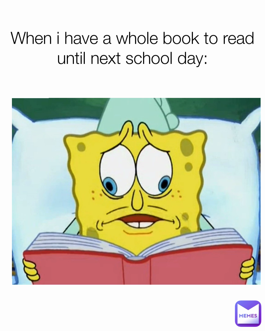 When i have a whole book to read until next school day: