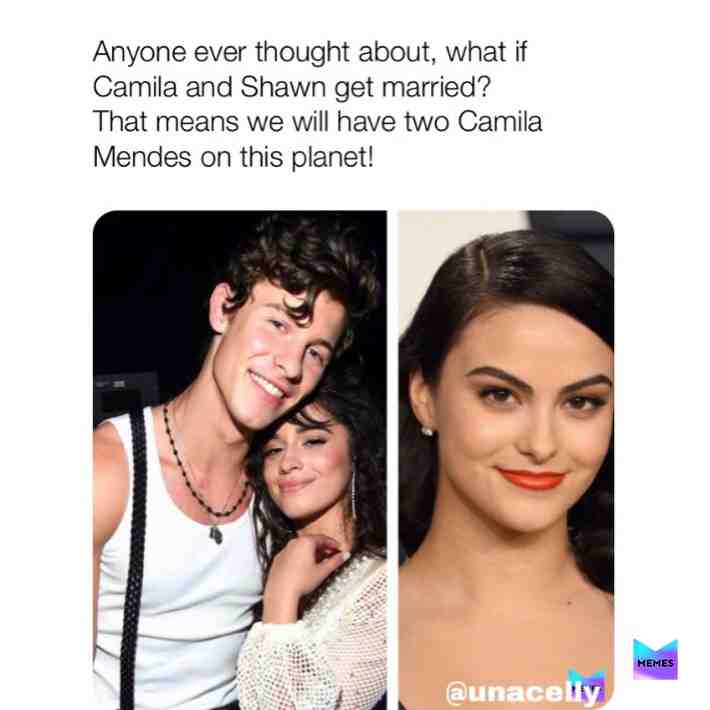 #unacelly   #camilia  #memes  #wth  #shwanmendes  #camiliacabello  #lol  #noway  #marrige  #wedding  #mendes  #funny  #what  #hell  #nah  #memes  #funniestmemes