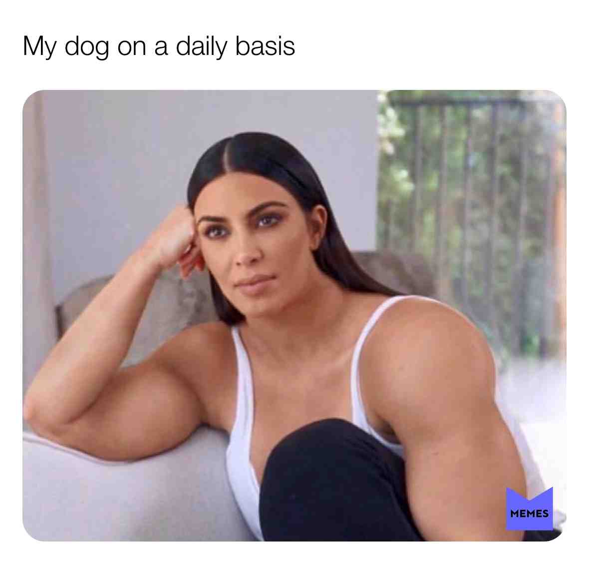 #meme #memes #funny #dog #kimk #kimkardashian #muscles #beauty #strength #bored #edit #weird