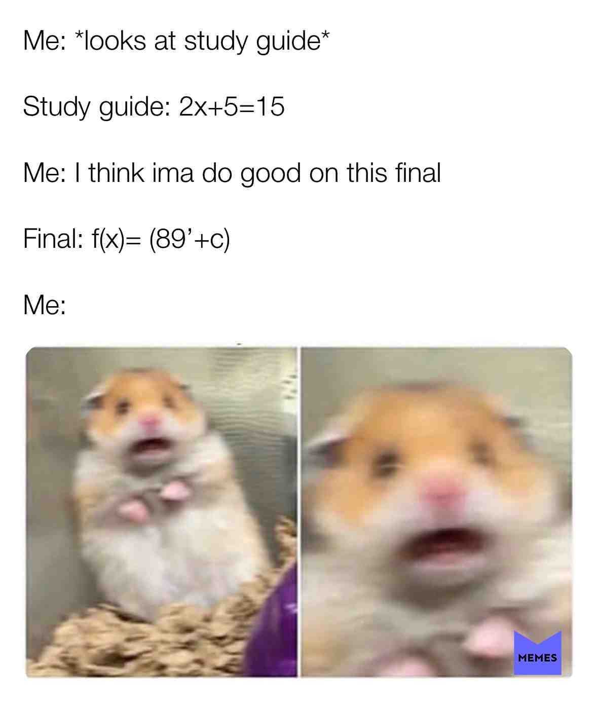 Me today. #relatable #me #funny #reaction #animal #hamster #scared #oof #meme #haha #lol #lmao