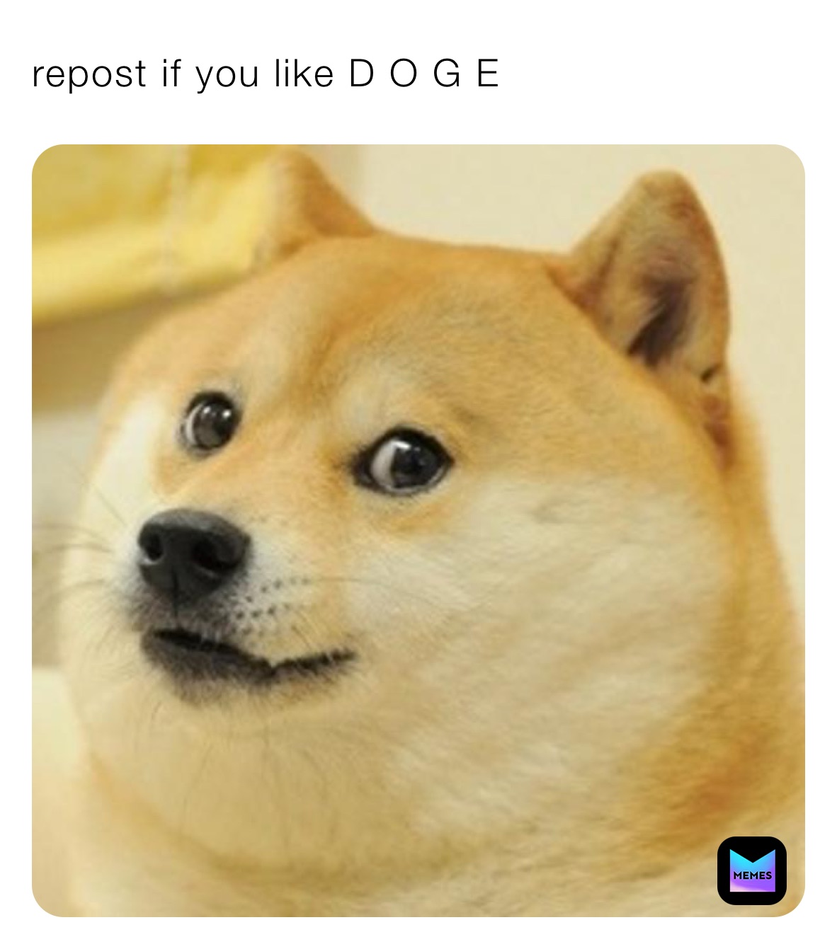 repost if you like D O G E