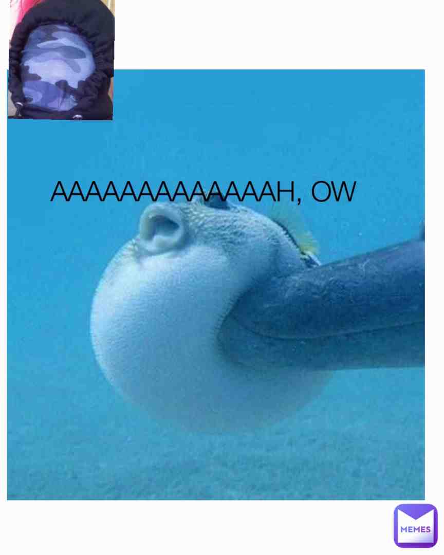 Meme shared by @WhatDidSheSayy