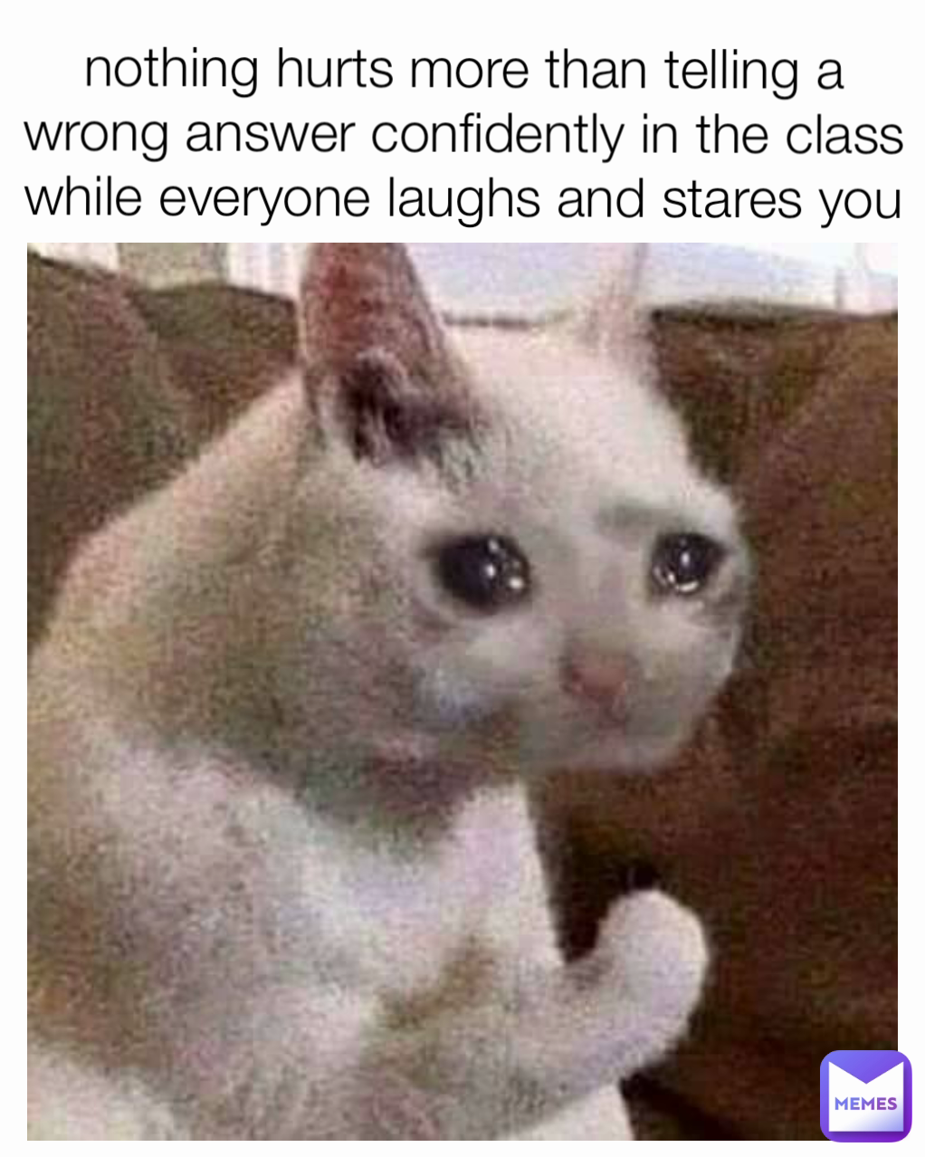 nothing hurts more than telling a wrong answer confidently in the class ...