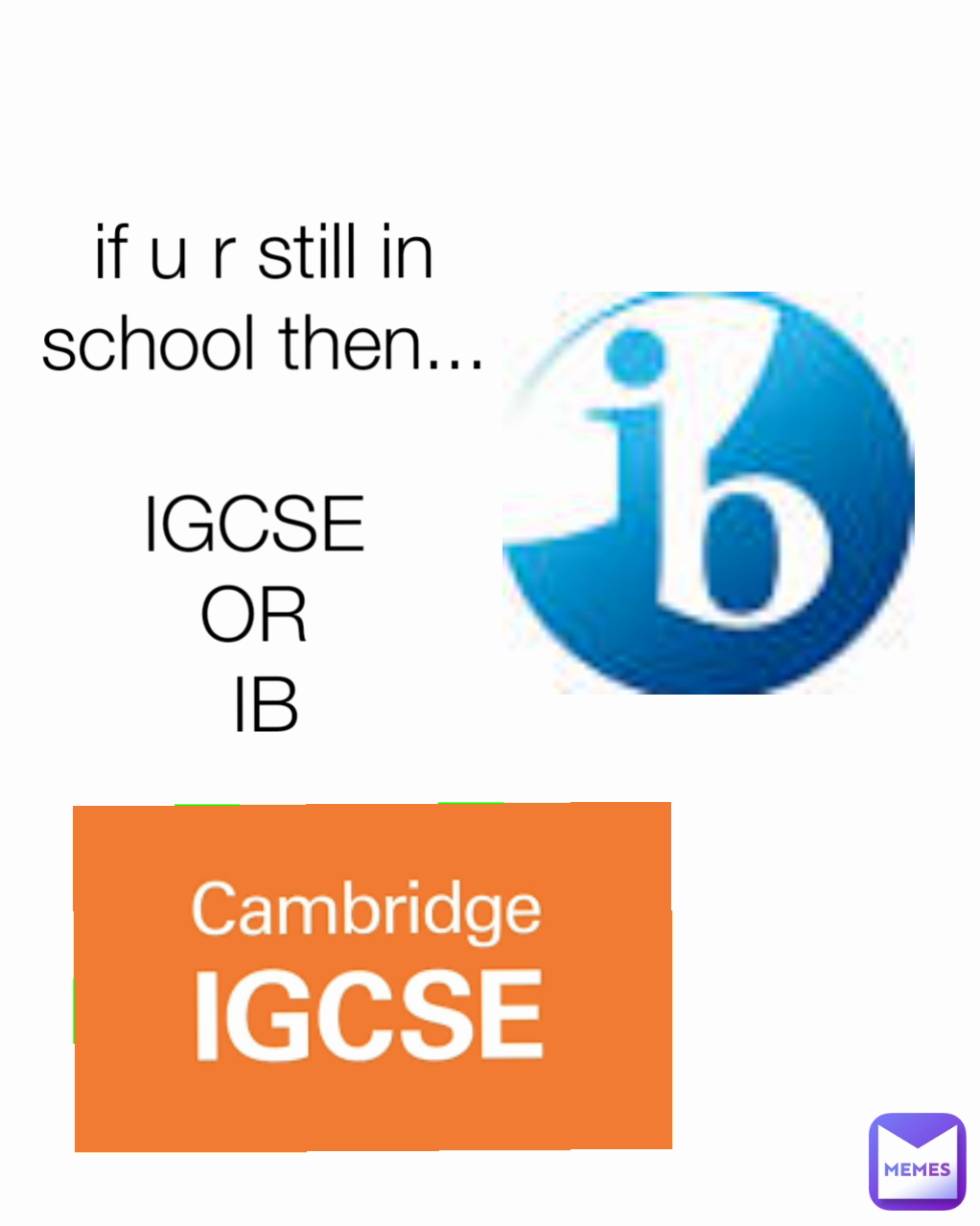 if u r still in school then...

IGCSE 
OR 
IB