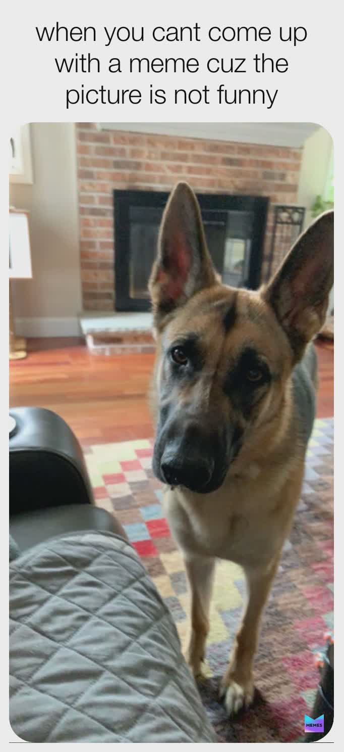 Meme by itsonlyrasha