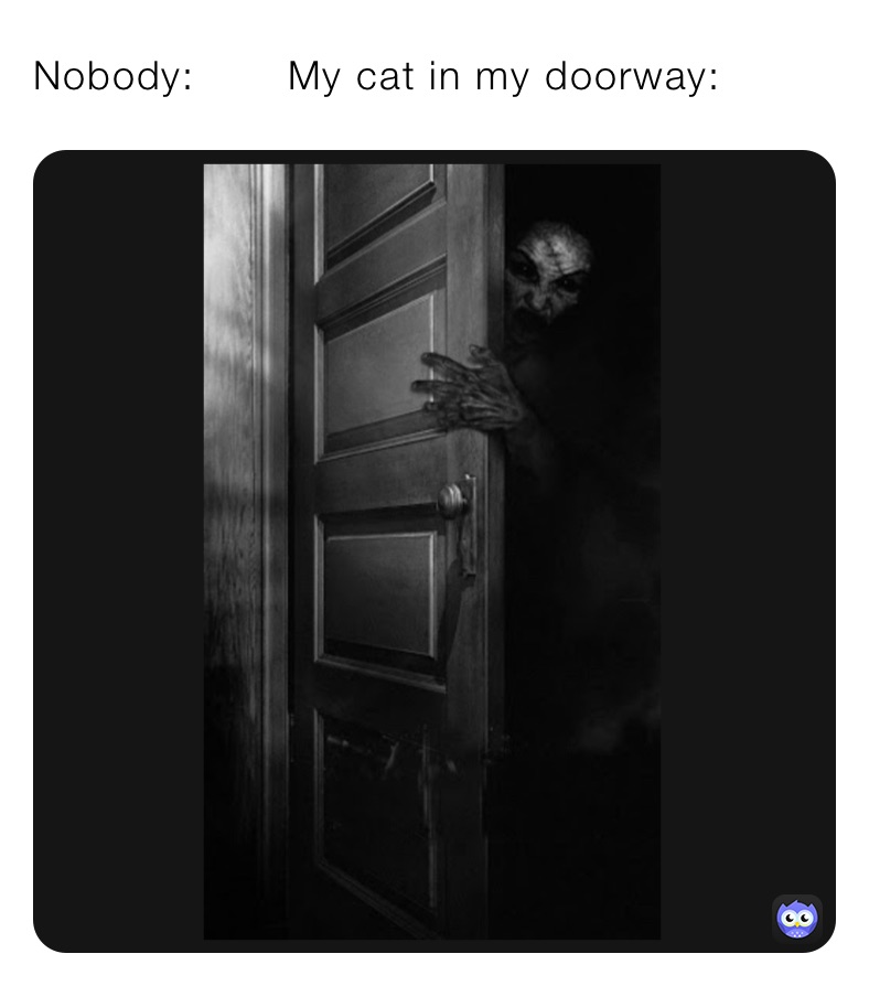 Nobody:       My cat in my doorway: 