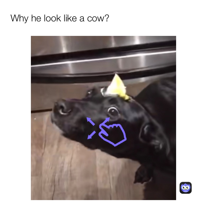 Meme by jacob-kelley