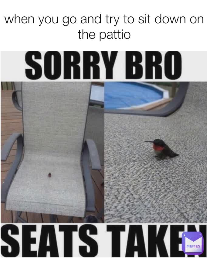 when you go and try to sit down on the pattio