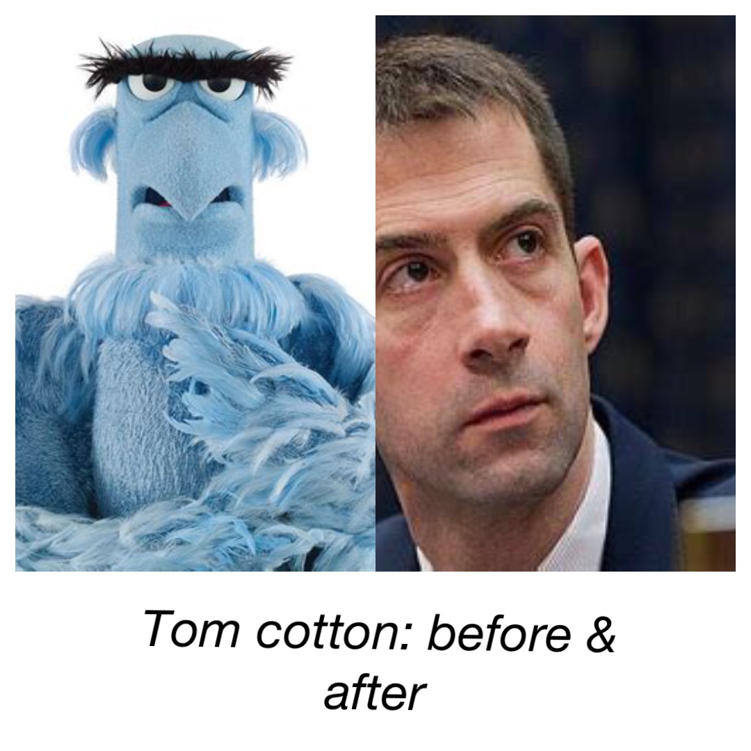 TOM COTTON: BEFORE & AFTER