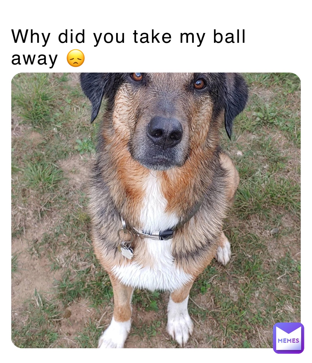 Why did you take my ball away 😞